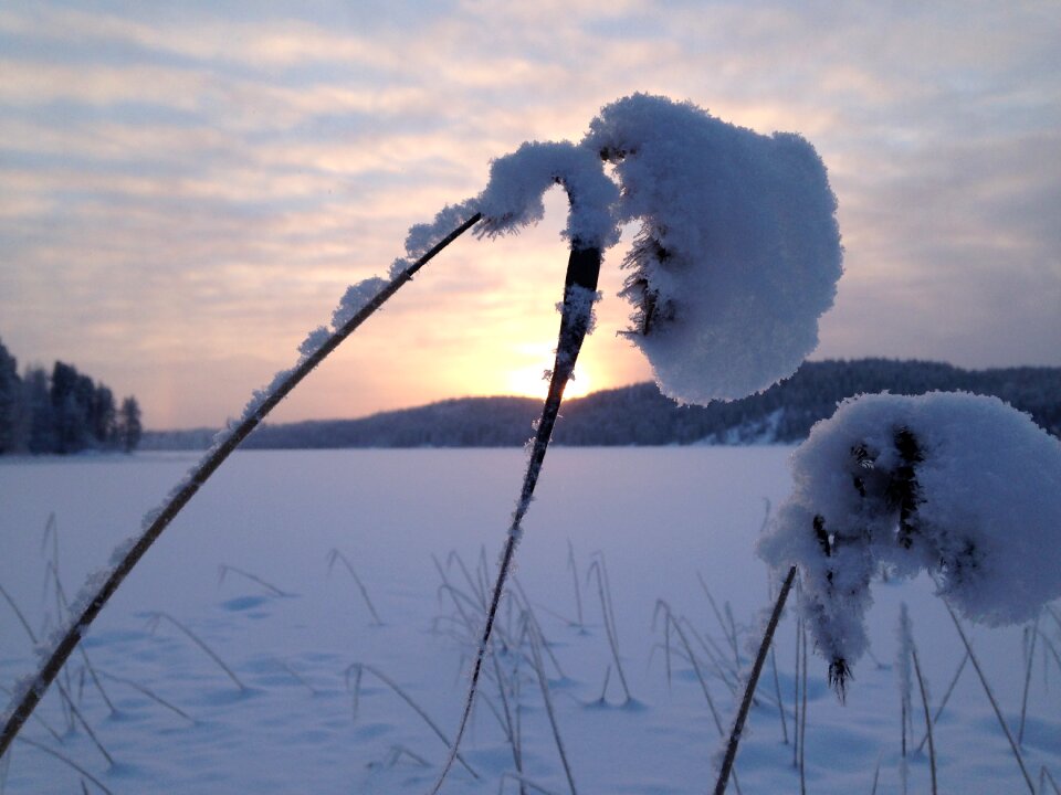 Sun white crystal