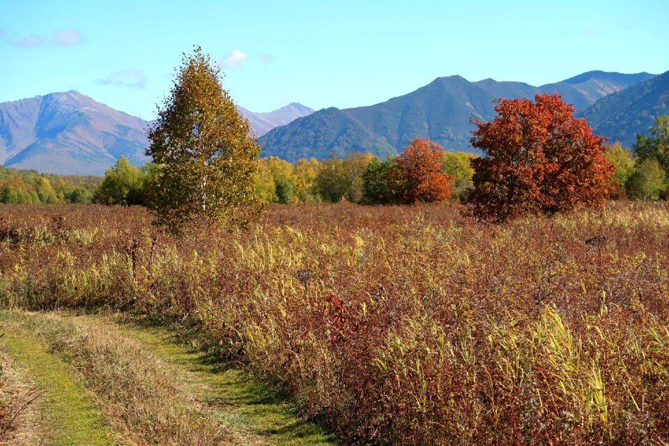 Road fall colors autumn grass