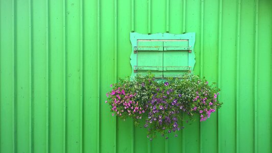 Flowers closed facade