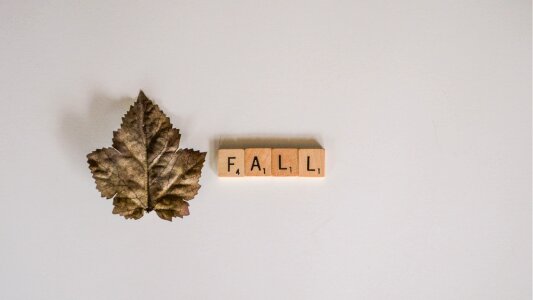 Autumn leaf graphics