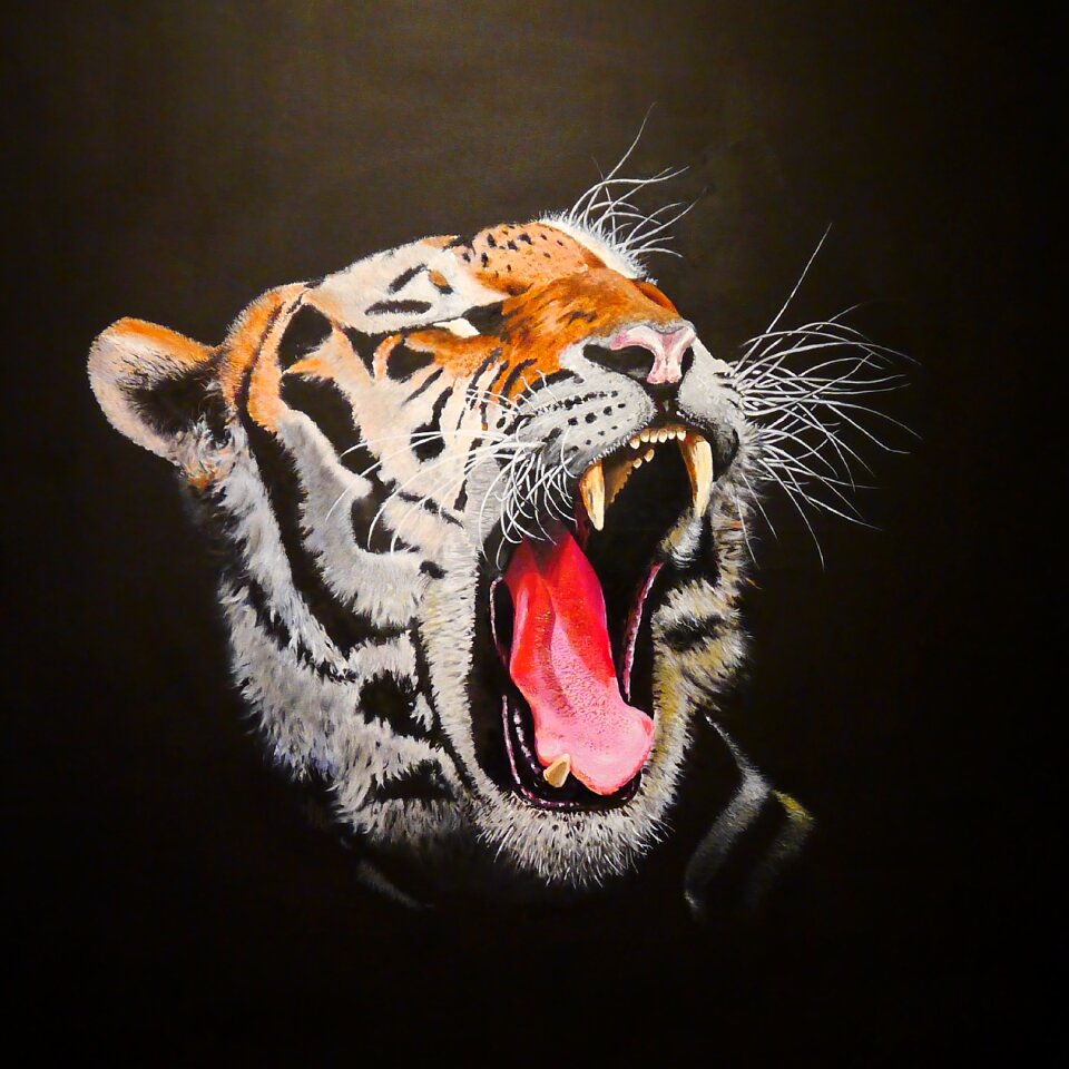 Big cat dangerous painted