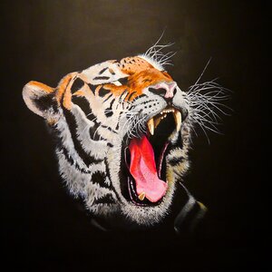 Big cat dangerous painted photo