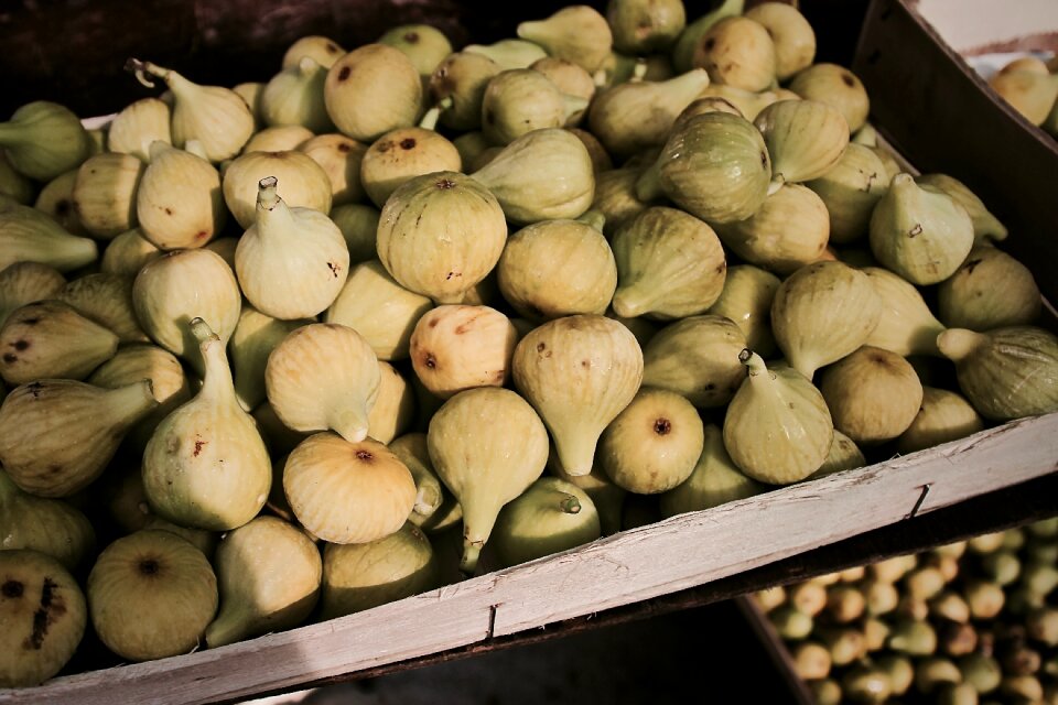 Fresh the richness of southern fruits