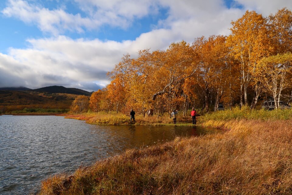 Tundra swamp nature