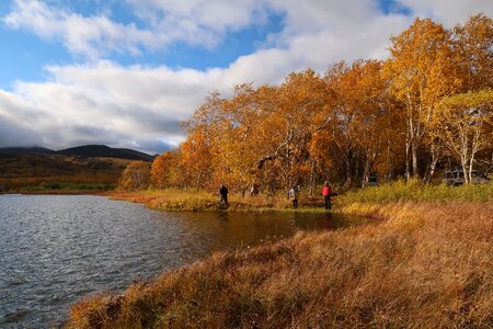 Tundra swamp nature