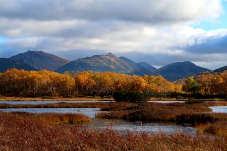 Tundra swamp nature