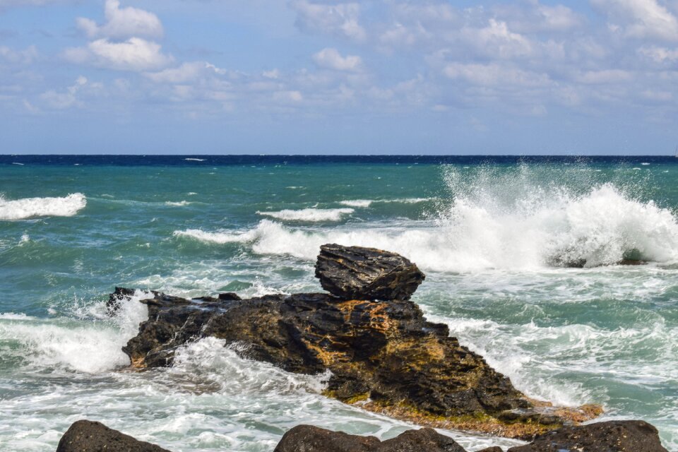 Nature shore landscape