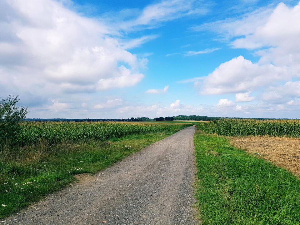 Autumn travel sky