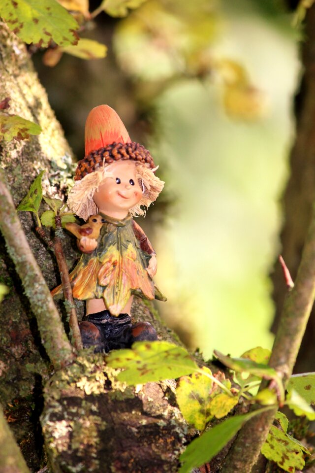 Funny gnome woman
