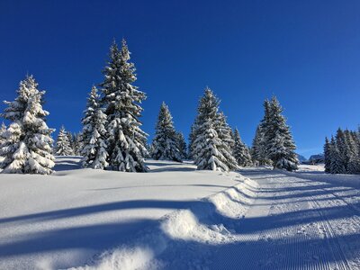 Nature mountain in winter ski photo
