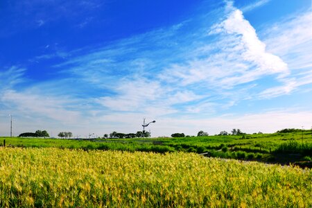 Republic of korea scenery han river