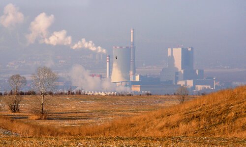 Chimney chimneys bird photo