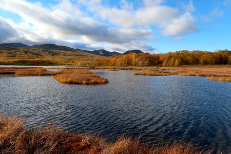 Tundra swamp nature