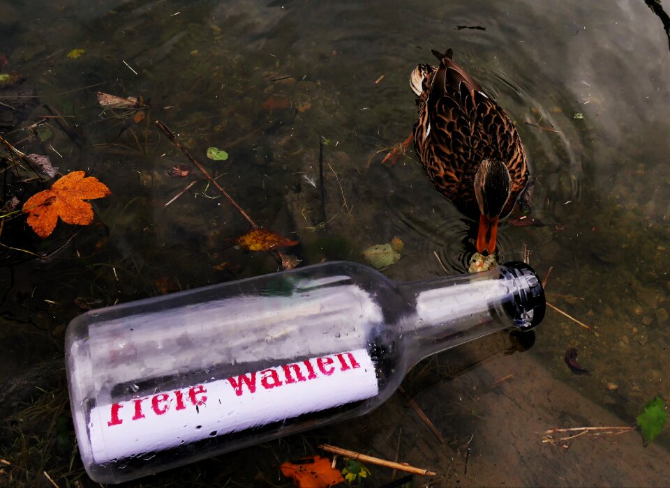 Flotsam and jetsam decreasing elections