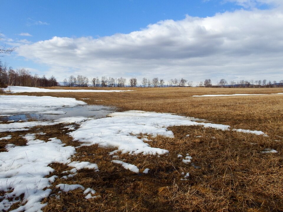 Meadow nature landscape