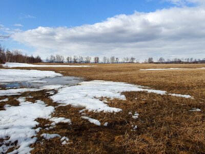 Meadow nature landscape