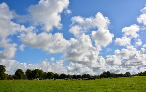 Pasture panorama view landscape photo