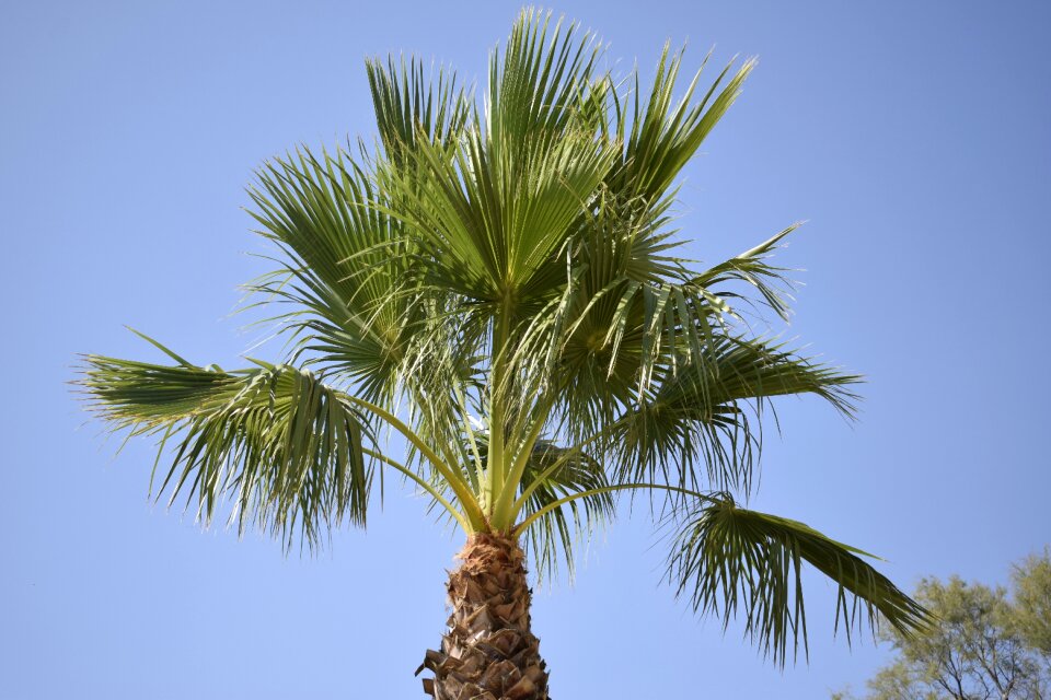 Almeria summer andalusia