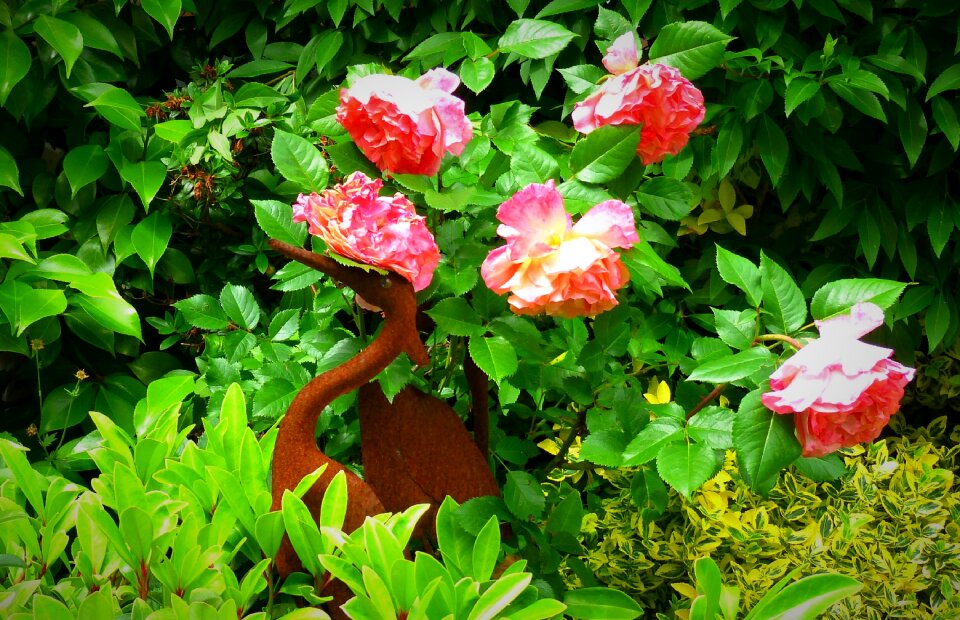 Late summer nature deco