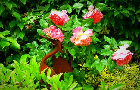 Late summer nature deco