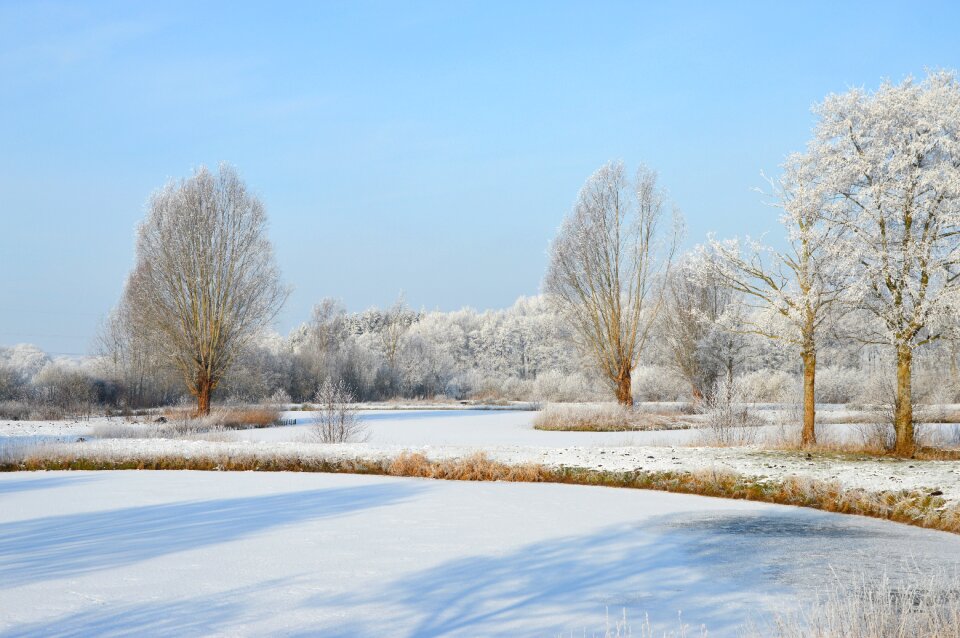 Ponds trees snow
