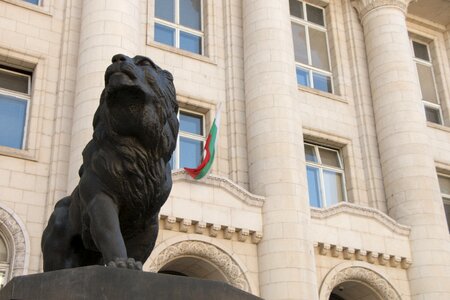 Palace city flag