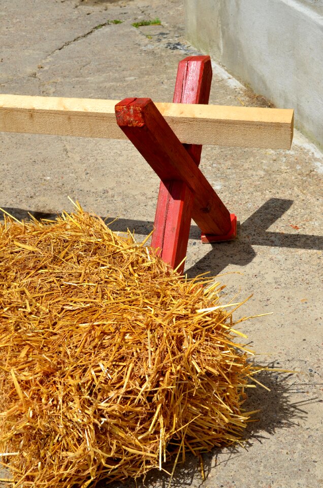 Obstacle obstacle riding equestrian