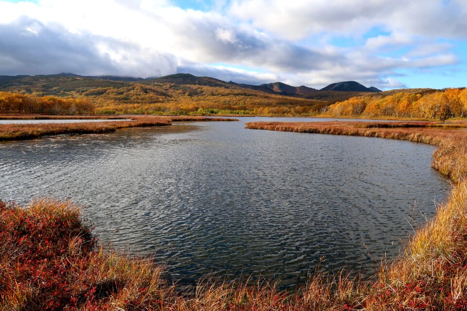 Tundra swamp nature