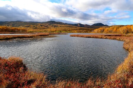 Tundra swamp nature