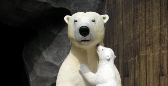 Mother bear bear cub