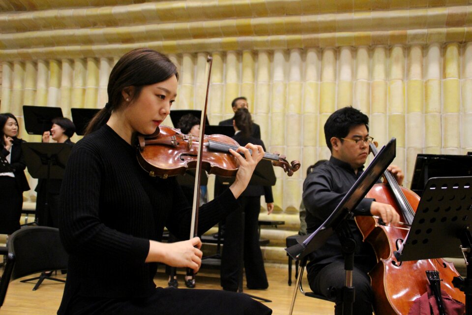Chamber concert stringed instruments