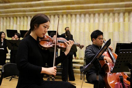 Chamber concert stringed instruments photo