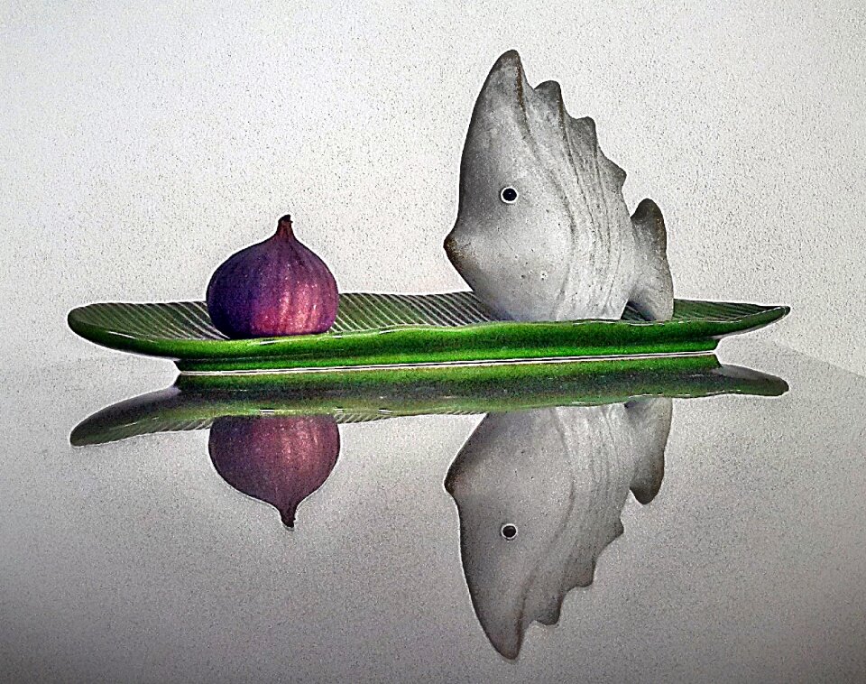 Fish fig art mirroring