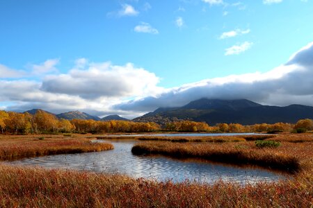 Tundra swamp nature photo