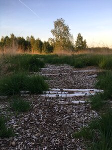 Nature nature reserve landscape
