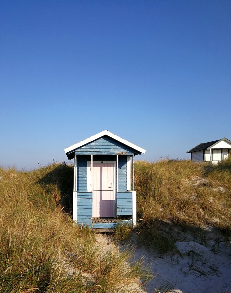 Siv sand late summer