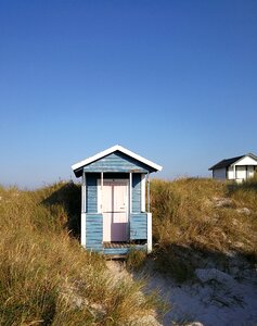 Siv sand late summer