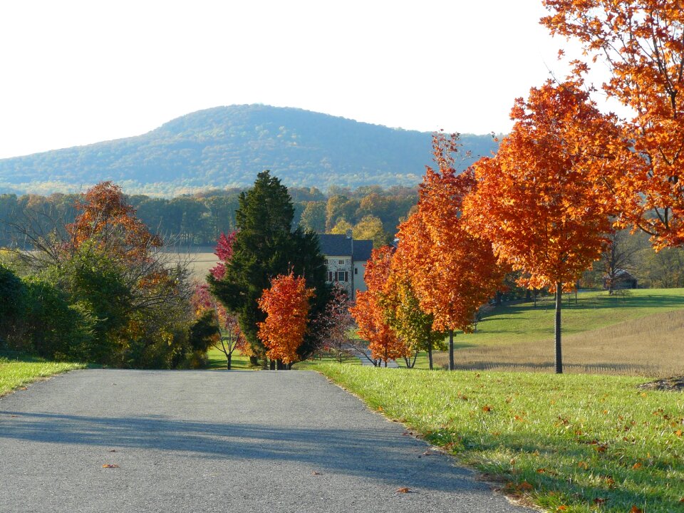 Mountain rural