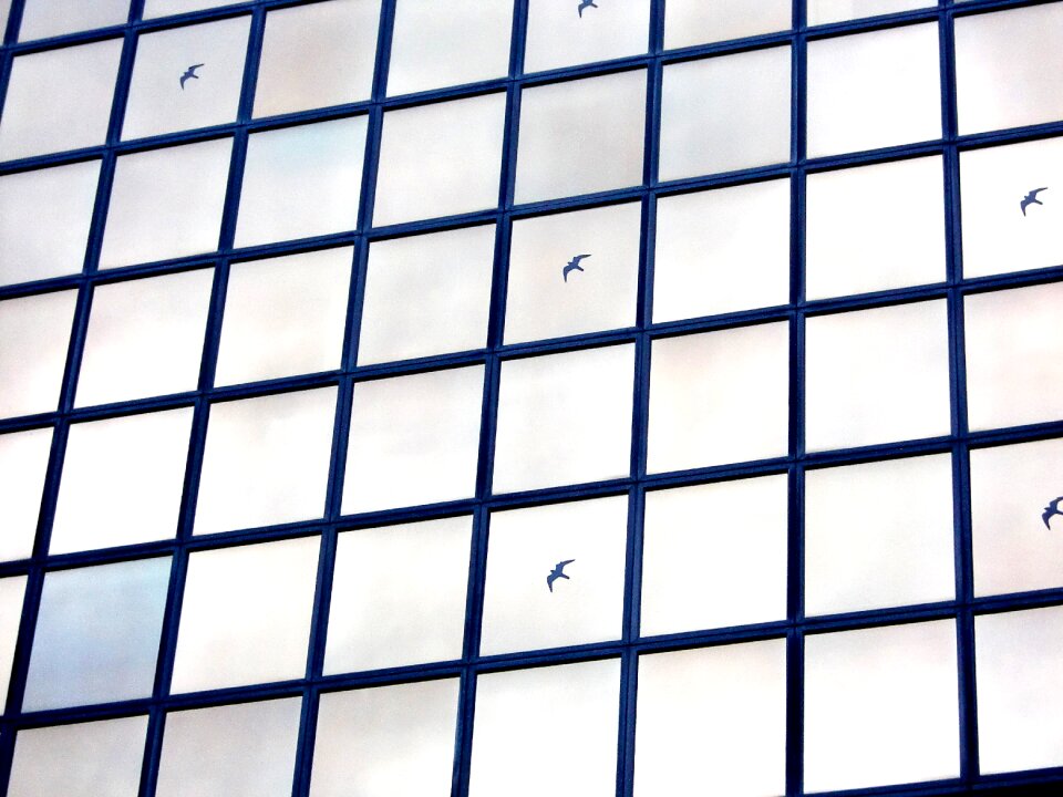 Architecture disc glass facade