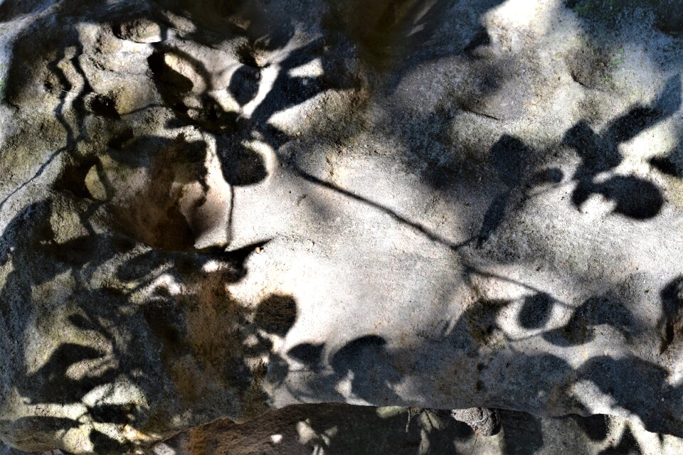 Foliage background game