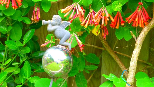 Deco garden decoration