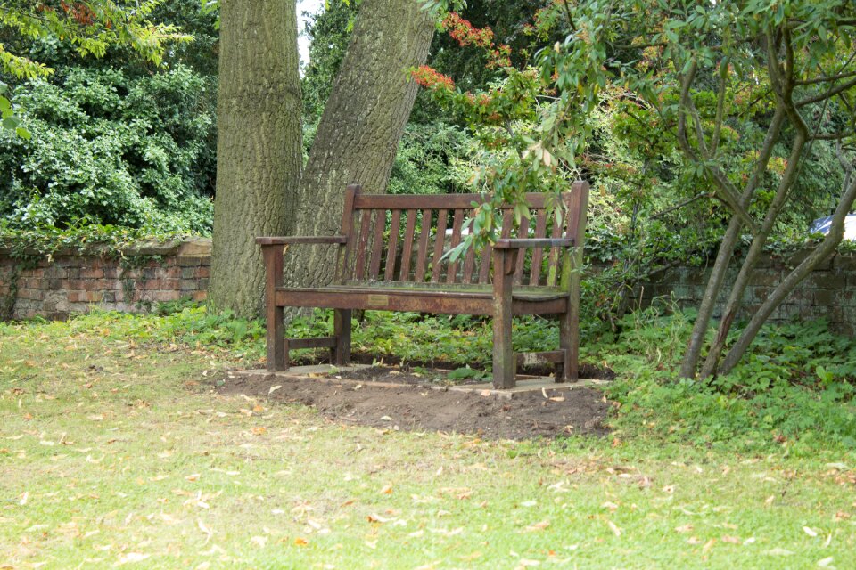 Lonely bench abandoned bench park
