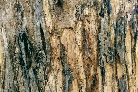 Parched textures dry