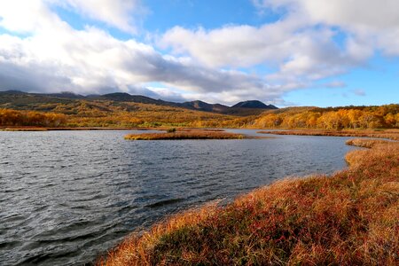 Tundra swamp nature