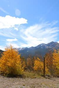 Landscapes landscape forest photo