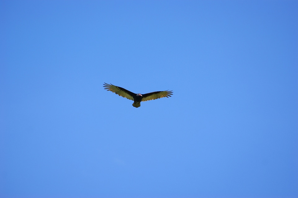 Flying paraguay south america