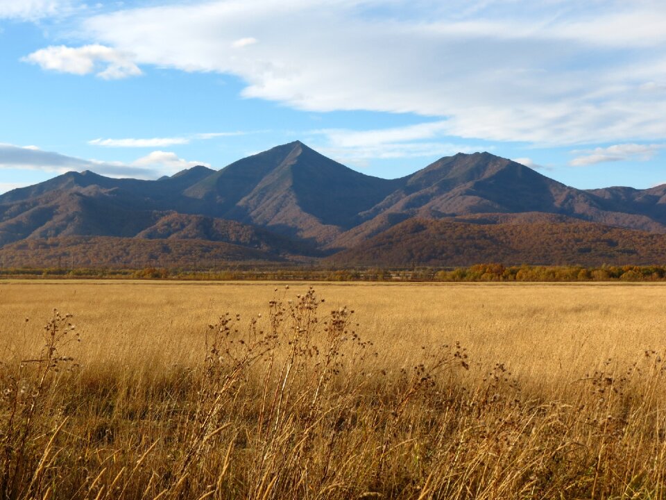 Mountains forest nature