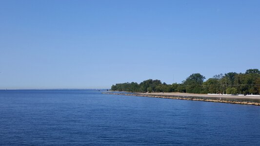 Nature summer