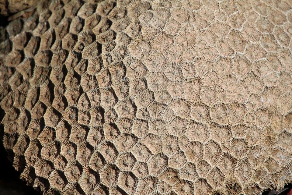 Destroyed pattern sea
