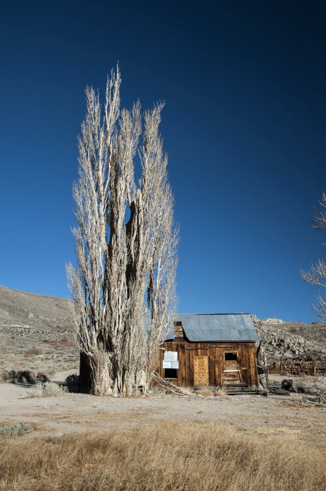 California log cabin old
